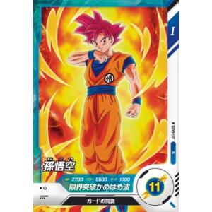 karintou-shop_sdv9-017