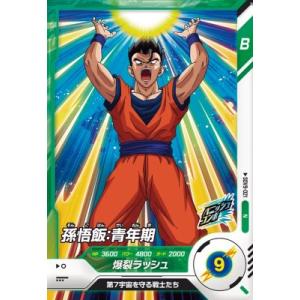 karintou-shop_sdv9-021