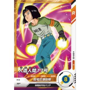 karintou-shop_sdv9-032