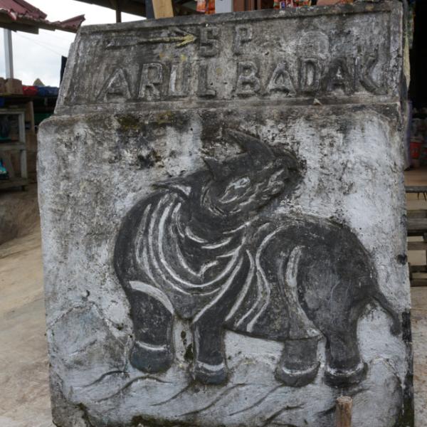 コーヒー豆 生豆 マンデリンG1 アチェ アルールバダ 200g