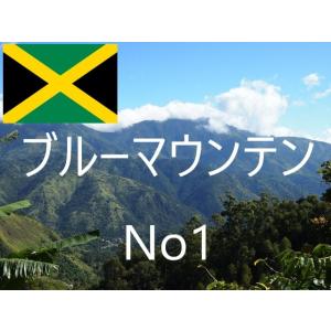 コーヒー豆 生豆 ブルーマウンテンNO1 100gの商品画像