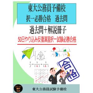 国家一般職　基礎能力試験　過去問10年分(2015年〜2024年)　択一コツ授業30分×10回付