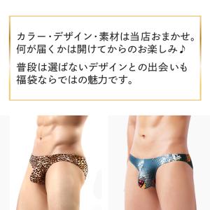 福袋 メンズ ブリーフ ビキニブリーフ ショー...の詳細画像2