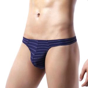 Tバック メンズ ボーダー 速乾 セクシー 伸...の詳細画像2