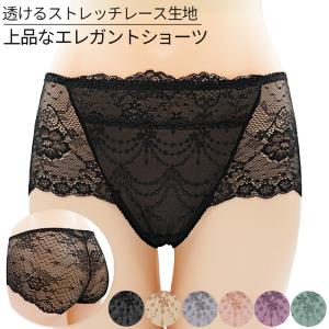 ショーツ レディース スタンダード レギュラー フルバック 総レース セクシー 透ける 刺繍 上品 ストレッチ 大きいサイズ 下着 黒 紫 緑 M L LL 3L 4L rs-009