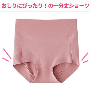 1分丈 ショーツ レディース 綿 深ばき丈 お...の詳細画像2