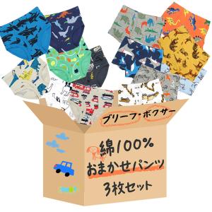 ブリーフ ボクサー パンツ 綿100% 3枚セット 前開き 男の子 ボーイズ 男児 子供 福袋 かわいい かっこいい 車 乗物 動物 恐竜 虫 プリント 下着 コットン b001