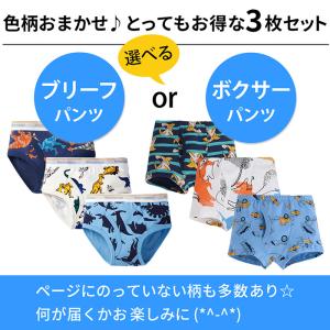 ブリーフ ボクサー パンツ 綿100% 3枚セ...の詳細画像2