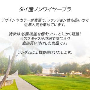 ブラジャー ノンワイヤー 福袋 おまかせ 1枚...の詳細画像2