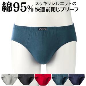 ブリーフ パンツ メンズ 綿 前閉じ 大きいサイズ 無地 ストレッチ 吸水 通気 蒸れない 敏感肌 スタンダード シンプル おしゃれ 男性 下着 プレゼント ms-005