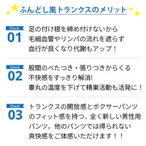 ふんどしトランクス メンズ ブリーフ ふんどし...の詳細画像3