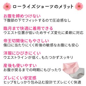 マタニティ ショーツ パンツ 綿95% 妊娠 ...の詳細画像1