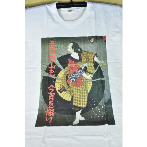 オリジナルTシャツ　浮世絵Tシャツ　　赤城の山も　KT012