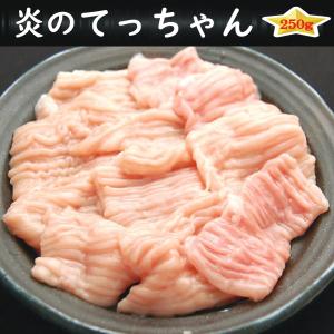 焼肉　BBQ　バーベキュー　ホルモン　タレ漬け　てっちゃん　250g　