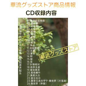 中国ドラマ「顕微鏡下的大明(邦題:天地に問う)...の詳細画像2