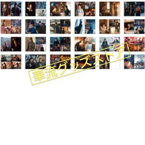 中国ドラマ「逐玉」写真集!!の詳細画像3
