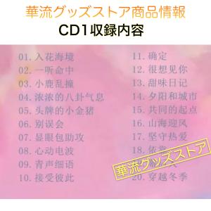 中国ドラマ「很想很想祢(邦題:今日も、君を想っ...の詳細画像2