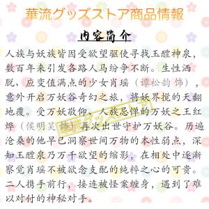【セール6000→5600】中国ドラマ「逍遥」...の詳細画像2