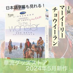 中国ドラマ「我的阿勒泰」中国版DVD 日本語字幕あり！