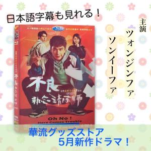【日本語字幕ありワゴンセール】中国ドラマDVD...の詳細画像3