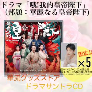 まとめ売りタレントカード 6枚✖️5セット　28枚　ケプラーシャオティンのみ3枚 中国俳優シャオジャン（肖戦）月めくりカレンダー2026年！【ポスト