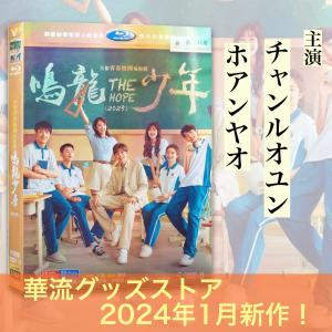 中国ドラマ「星漢燦爛(邦題:せいかんさんらん)」中国版DVD ウーレイ
