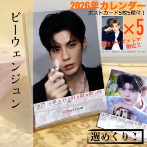 中国俳優ビーウェンジュンの週めくりカレンダー20...の商品画像