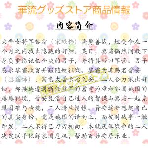 中国ドラマ「与晋長安」中国版DVD 日本語字幕あり!の詳細画像2