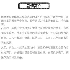 中国ドラマ「狼殿下」中国版ブルーレイ シャオジ...の詳細画像2