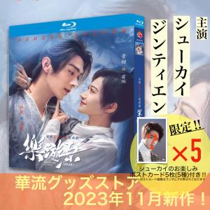 中国ドラマ「星漢燦爛(邦題:せいかんさんらん)」中国版DVD ウーレイ