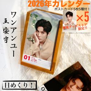 中国俳優ワンアンユー（王安宇）の日めくりカレンダー2026年！【ポストカード5p付】