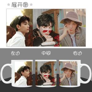 中国俳優「ウーレイ(呉磊）」のマグカップ！ : 華流グッズストア