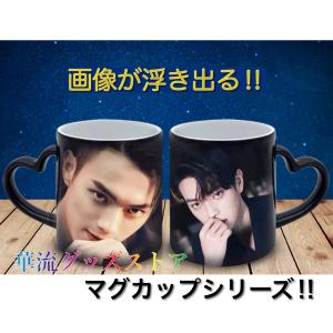 中国俳優「ウーレイ(呉磊）」のマグカップ！ : 華流グッズストア