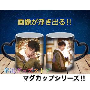 中国俳優レオロー（羅雲熙）のマグカップ！ : 華流グッズストア - 通販