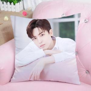 中国俳優ワンイーボー(王一博)のプリントクッション！ : 華流グッズ