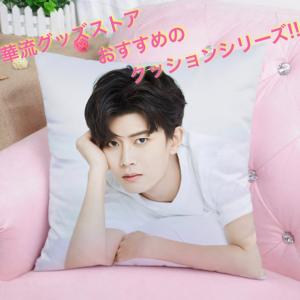 ワンイーボー　王一博 探検2 TCHINA 代言　クッションカバー10点セット 中国俳優ワンイーボー(王一博)のプリントクッション！ : 華流グッズ