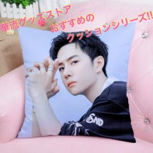 中国俳優ワンイーボー(王一博)のプリントクッション！ : 華流グッズ