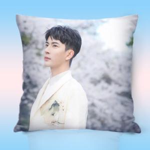 中国俳優ワンイーボー(王一博)のプリントクッション！ : 華流グッズ