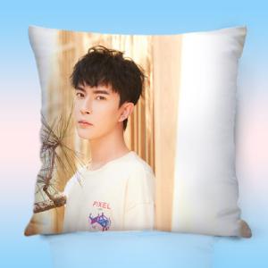 中国俳優ワンイーボー(王一博)のプリントクッション！ : 華流グッズ