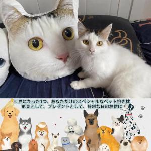 レビュー投稿でオリジナルキーホルダープレゼント...の詳細画像3