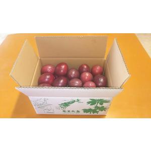 奄美パッションフルーツ（家庭用２ｋｇ）