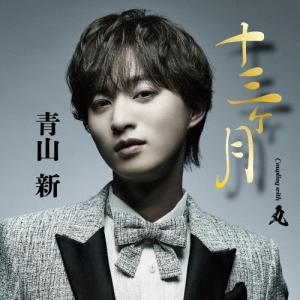 テイチク 十三ヶ月(TYPE丸) ／ 青山新 (CD) : バンダレコード ヤフー店