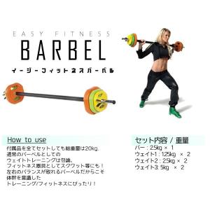 新しい筋トレ イージーフィットネスバーベル 女性にオススメ