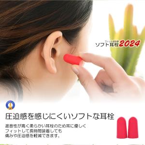 騒音を遮断! ソフト 耳栓 耳せん 携帯ケース...の詳細画像2