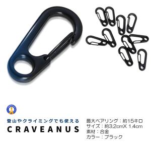 カラビナ 10個 登山 レジャー キャンプ カ...の詳細画像3