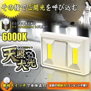 天照大光 LED 照明 ライト マグネット搭載 壁付け