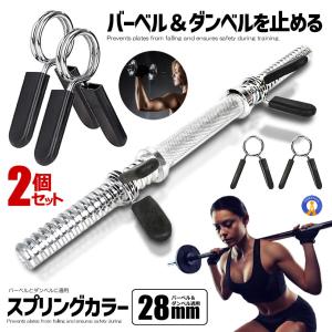 ダンベル プレート止め 外カラー (クリップ式) 28mm用