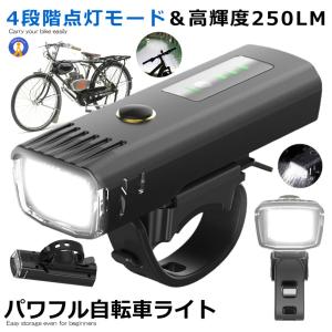 【20%OFF】アンモナイト 車速反応式自転車用オートヘッドライト Amazon | Ammonite(アンモナイト)車速反応式自転車用オートヘッド