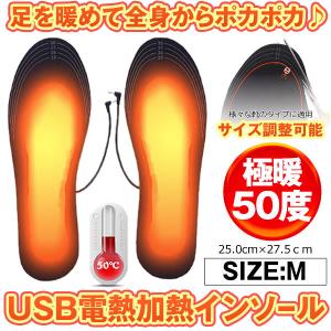 電熱インソール M 25-27cm 中敷き ヒートインソール USB加熱式 電熱ウェア 冷え対策 フットウォーマー 防寒 あったか インソール DENSOLE-M