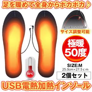 2セット 電熱インソール M 25-27.5cm 中敷き ヒートインソール USB加熱式 電熱ウェア 冷え対策 フットウォーマー 防寒 あったか DENSOLE-M